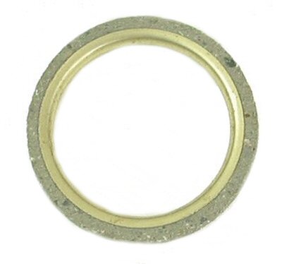 Exhaust Pipe Gasket